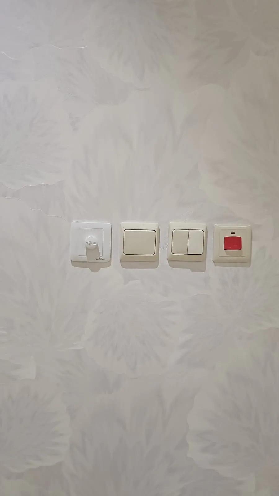 صورة المقال