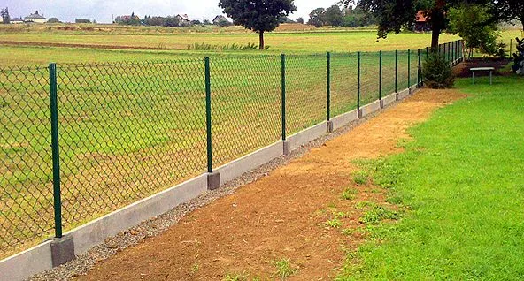 صورة المقال