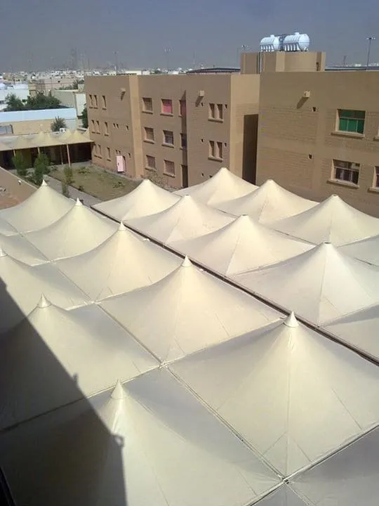 صورة المقال