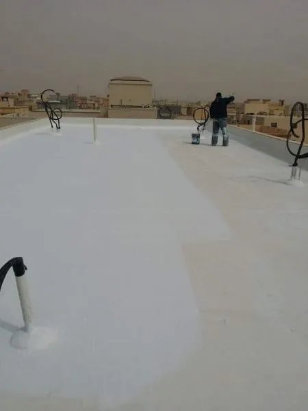 معلم دهان شمال الرياض: لمسة فنية تجعل منزلك تحفة