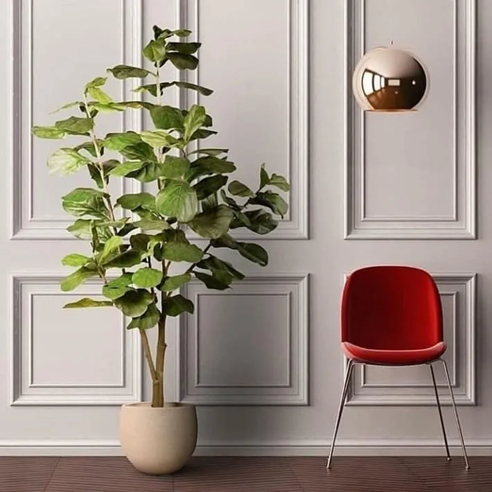 معلم فوم جدران, براويز فوم, بانوهات في حي الازدهار 