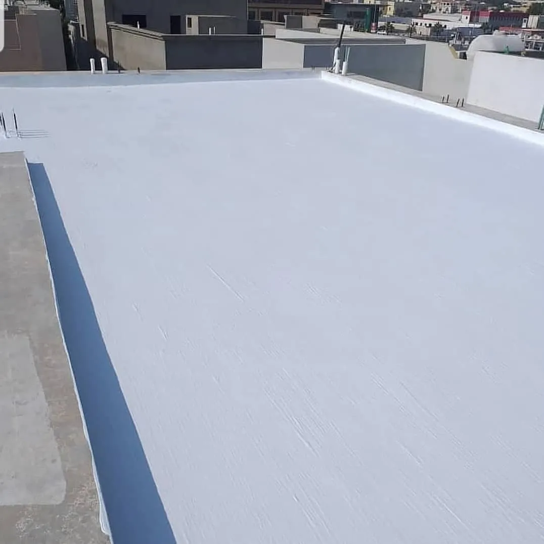 افضل معلم دهانات وعوازال أسطح المنازل حي الملك فهد بالرياض 